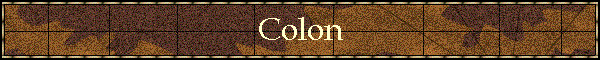 Colon